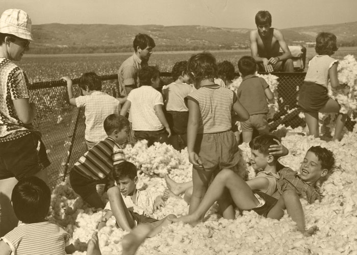 Children In Cotton 70