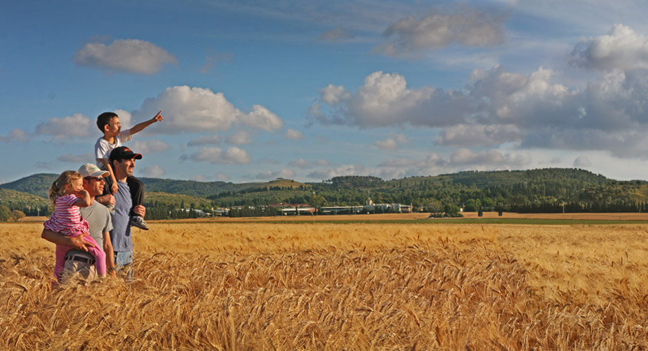 Field Crops