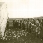 Moving Cotton Bale