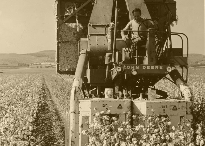 Old Cotton Picker