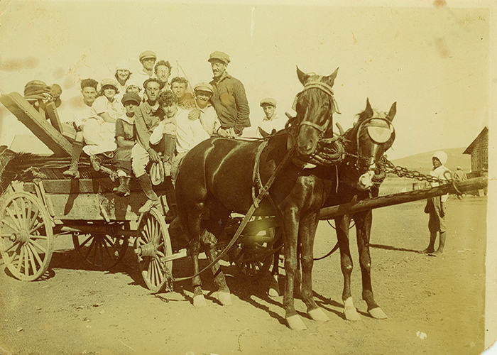 Horses and cart