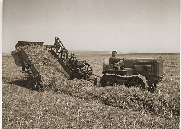 Old Tractor